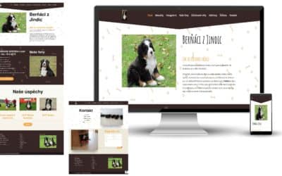 Jak udělat náhled celé webové stránky