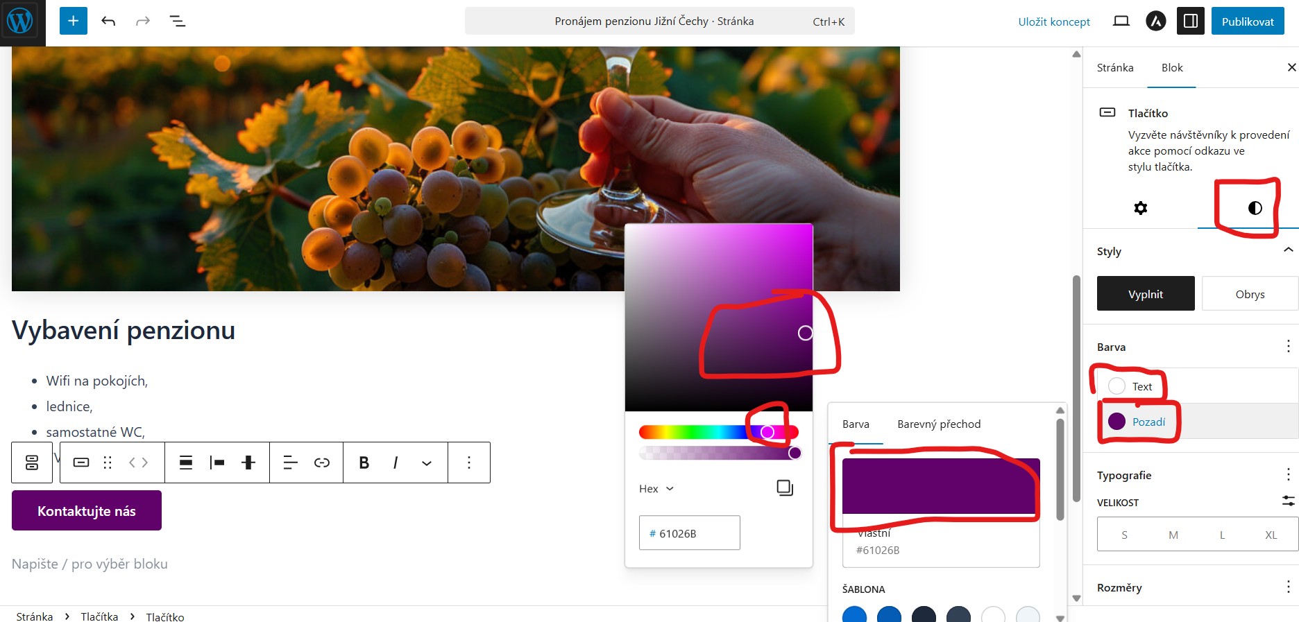 nastaveni-barvy-tlacitka-gutenberg-editor-wordpress Nastavení tlačítka - barva- v Gutenberg editoru