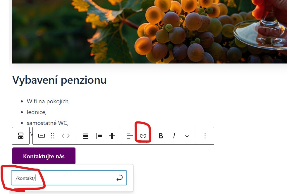 pridani-odkazu-k-tlacitku-gutenberg-editor-wordpress Přidání odkazu k tlačítku v Gutenberg editoru