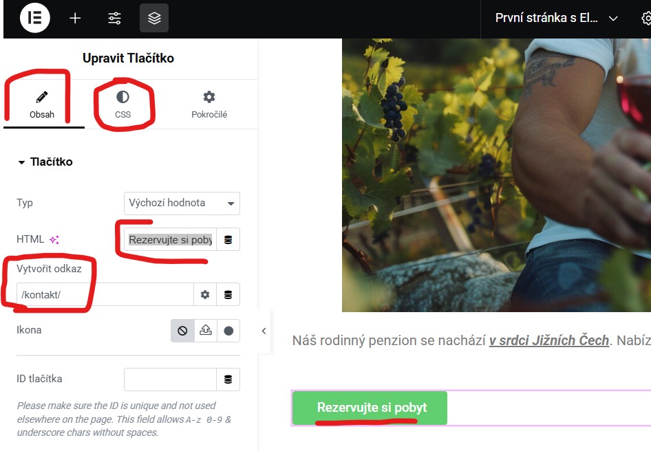 vlozeni-tlacitka-na-stranku-elementor Nastavení tlačítka - Elementor tvorba první stránky