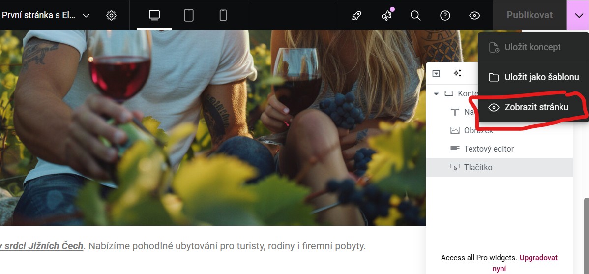 zobrazeni-vytvorene-stranky-elementor Zobrazení stránky po úpravách a uložení - Elementor tvorba první stránky