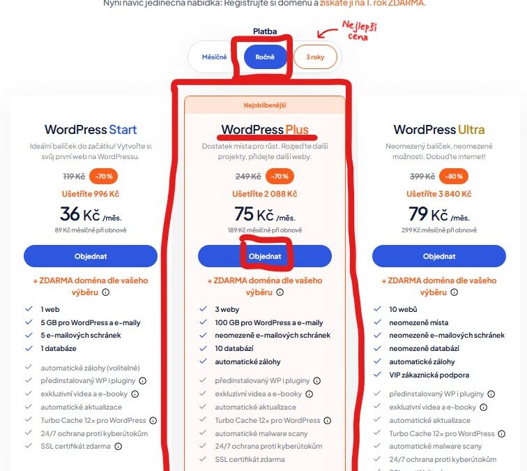 Kde a jak koupit doménu a hosting v roce 2025