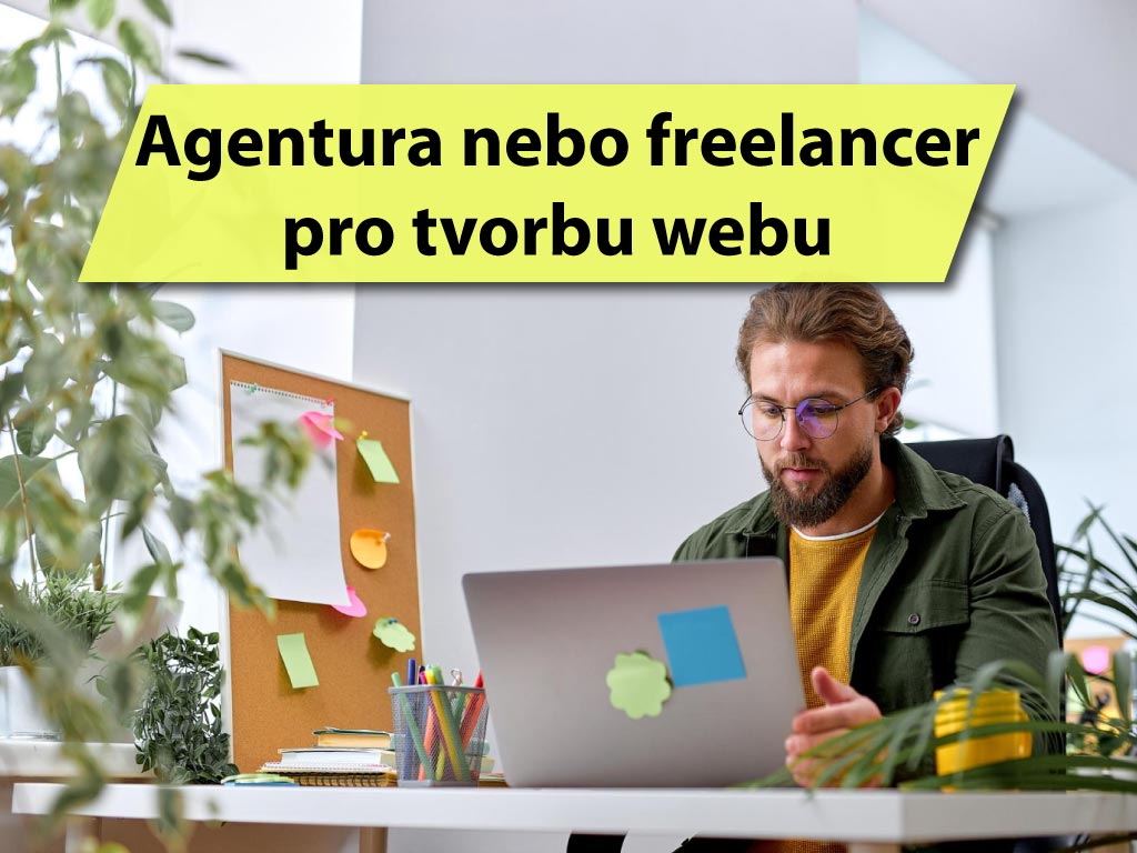 agentura nebo freelancer pro tvorbu webových stránek, jak vybrat správně